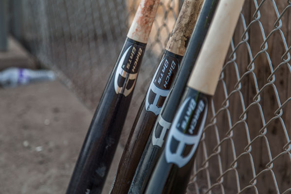 Birch bulk variety packs