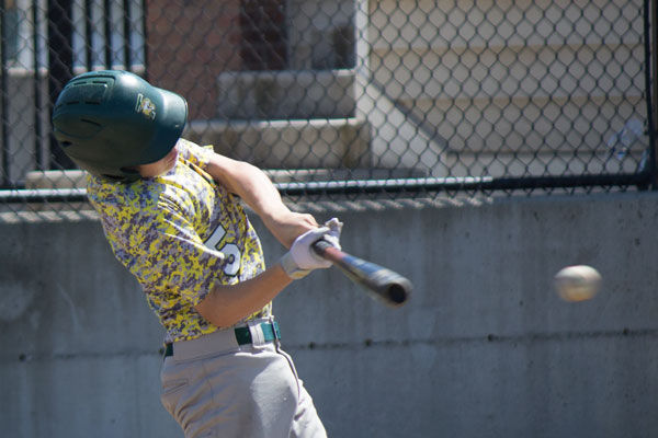 Birch youth wood baseball bats